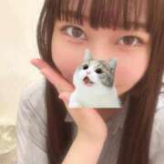 マナ 金曜日！！！ ピカソ