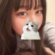 ヒメ日記 2026/03/15 09:49 投稿 マナ ピカソ