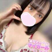 ヒメ日記 2025/11/20 17:47 投稿 ミア ピカソ