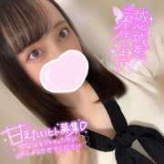 ヒメ日記 2025/11/27 08:01 投稿 ミア ピカソ