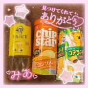 ヒメ日記 2025/11/27 10:48 投稿 ミア ピカソ