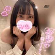 ヒメ日記 2025/11/28 09:34 投稿 ミア ピカソ