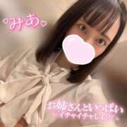 ヒメ日記 2025/11/28 12:03 投稿 ミア ピカソ