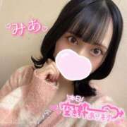 ヒメ日記 2025/12/10 11:52 投稿 ミア ピカソ