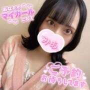 ヒメ日記 2025/12/11 07:45 投稿 ミア ピカソ