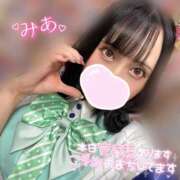 ヒメ日記 2025/12/11 14:30 投稿 ミア ピカソ