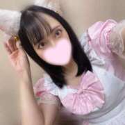 ヒメ日記 2026/01/31 10:53 投稿 ミア ピカソ