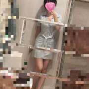 ヒメ日記 2025/11/12 13:38 投稿 ミツバ ピカソ