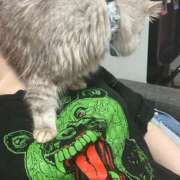 ヒメ日記 2025/08/10 16:04 投稿 ミラ ピカソ