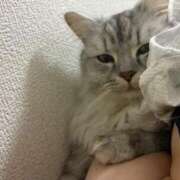 ミラ Twitterつかえん ピカソ