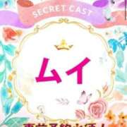ヒメ日記 2025/11/12 17:08 投稿 ムイ ピカソ