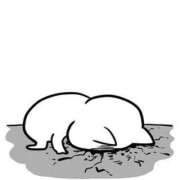 ヒメ日記 2026/02/22 12:00 投稿 ムイ ピカソ