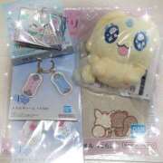 ヒメ日記 2025/09/14 12:01 投稿 ララ ピカソ