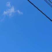 ララ 本日は晴天なり！ ピカソ