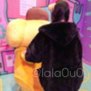 ヒメ日記 2025/12/23 09:00 投稿 ララ ピカソ