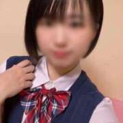 ヒメ日記 2025/12/14 08:45 投稿 リム ピカソ