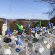 ヒメ日記 2026/01/30 12:46 投稿 リム ピカソ