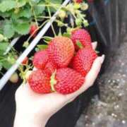 ヒメ日記 2026/02/12 13:51 投稿 柊　れい ナディア（奈良）