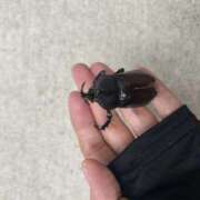 ヒメ日記 2025/08/13 19:20 投稿 みやこ One More奥様　町田相模原店