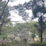 ヒメ日記 2025/09/24 04:57 投稿 みやこ One More奥様　町田相模原店