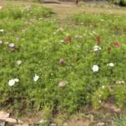 ヒメ日記 2025/10/18 21:40 投稿 みやこ One More奥様　町田相模原店