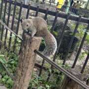 ヒメ日記 2025/10/23 04:10 投稿 みやこ One More奥様　町田相模原店