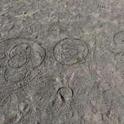 ヒメ日記 2025/11/07 21:40 投稿 みやこ One More奥様　町田相模原店