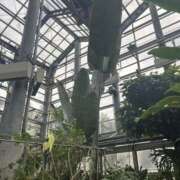 ヒメ日記 2025/11/17 13:41 投稿 みやこ One More奥様　町田相模原店