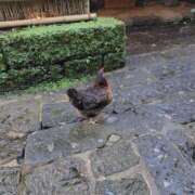 ヒメ日記 2025/12/11 22:40 投稿 みやこ One More奥様　町田相模原店