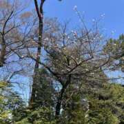 ヒメ日記 2026/03/24 20:30 投稿 みやこ One More奥様　町田相模原店