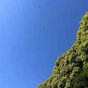 ヒメ日記 2026/04/11 22:19 投稿 みやこ One More奥様　町田相模原店