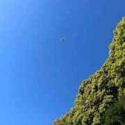 ヒメ日記 2026/04/11 22:50 投稿 みやこ One More奥様　町田相模原店