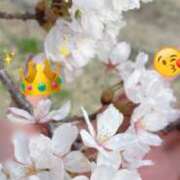 ヒメ日記 2026/03/31 11:55 投稿 美丘 聖奈☆眉目秀麗恵体の極み MARVELOUS