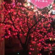 ヒメ日記 2025/09/21 14:11 投稿 しゅり 小岩人妻花壇