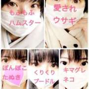 ヒメ日記 2026/02/08 17:32 投稿 しゅり 小岩人妻花壇