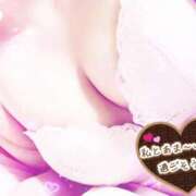 ヒメ日記 2026/02/14 08:58 投稿 しゅり 小岩人妻花壇