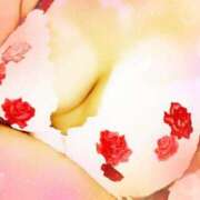 ヒメ日記 2026/03/11 17:52 投稿 しゅり 小岩人妻花壇