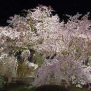 ヒメ日記 2025/04/01 18:13 投稿 愛内 みくる エテルナ京都