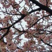 ヒメ日記 2026/03/07 17:56 投稿 愛内 みくる エテルナ京都