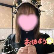 ヒメ日記 2025/09/11 06:36 投稿 みこと 美女のカタチ