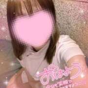 ヒメ日記 2025/09/12 06:26 投稿 みこと 美女のカタチ