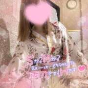 ヒメ日記 2025/09/14 21:16 投稿 みこと 美女のカタチ