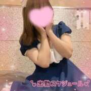 ヒメ日記 2025/11/15 19:06 投稿 みこと 美女のカタチ