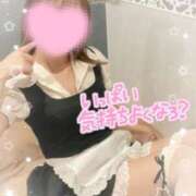 ヒメ日記 2025/11/19 21:24 投稿 みこと 美女のカタチ