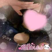 ヒメ日記 2025/11/24 23:46 投稿 みこと 美女のカタチ