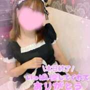 ヒメ日記 2025/12/08 23:06 投稿 みこと 美女のカタチ