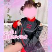 ヒメ日記 2025/12/09 08:36 投稿 みこと 美女のカタチ