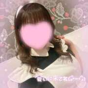 ヒメ日記 2025/12/12 20:21 投稿 みこと 美女のカタチ