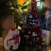 ヒメ日記 2026/02/03 21:33 投稿 きよか 池袋人妻城