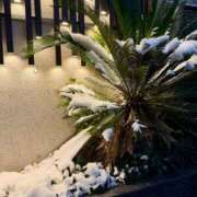 ヒメ日記 2026/02/08 18:27 投稿 きよか 池袋人妻城